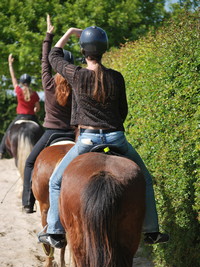 Nicole Johnen reitunterricht Klassische Dressur Centered Riding centered_riding1