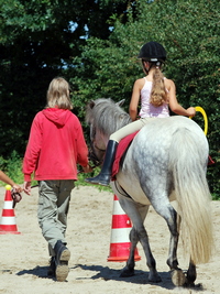 Nicole Johnen reitunterricht Klassische Dressur Centered Riding reittherapie3